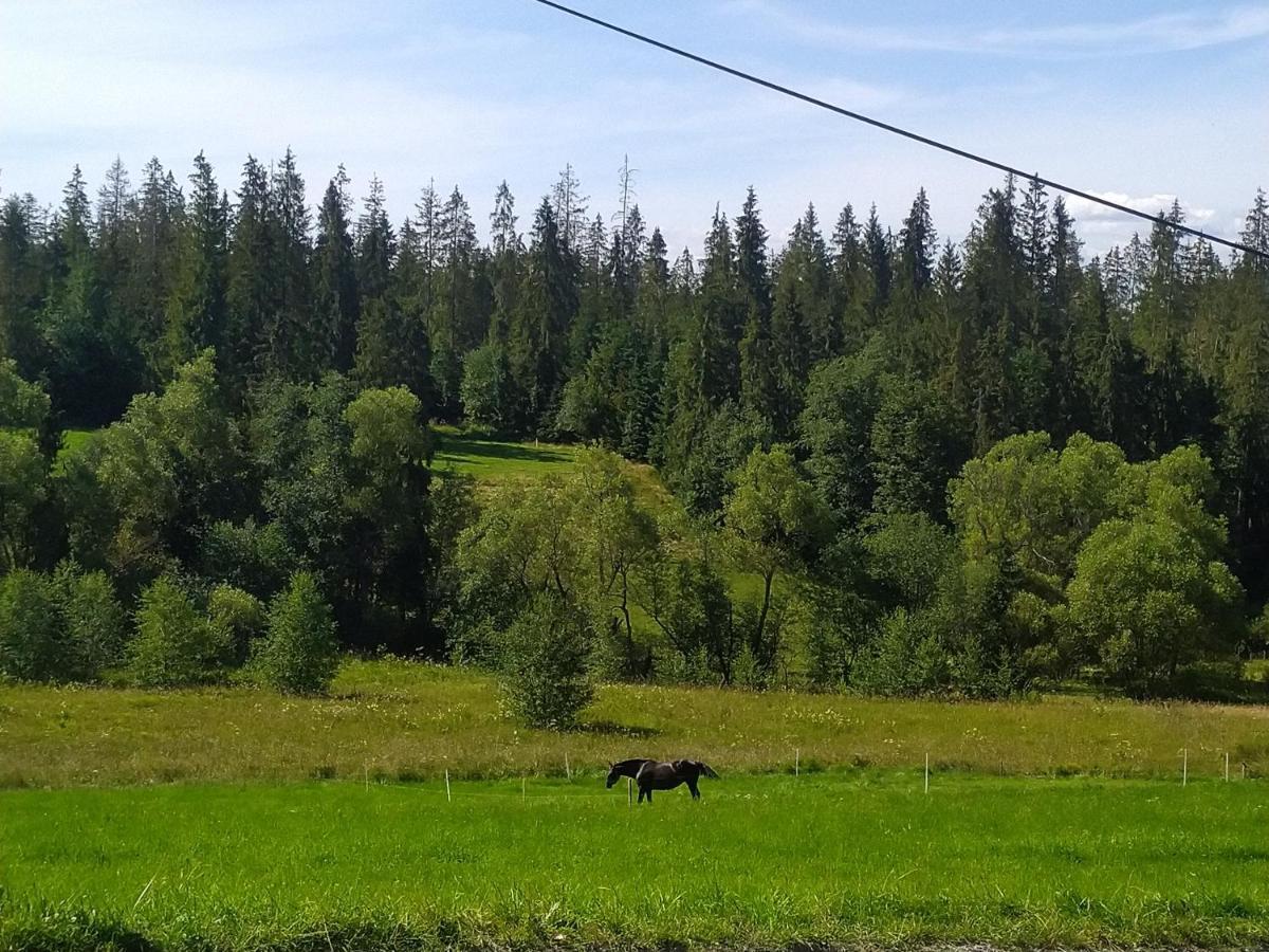 U Mrugaly Poronin